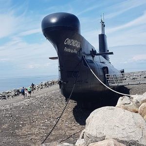 Meet your Posher, Robin